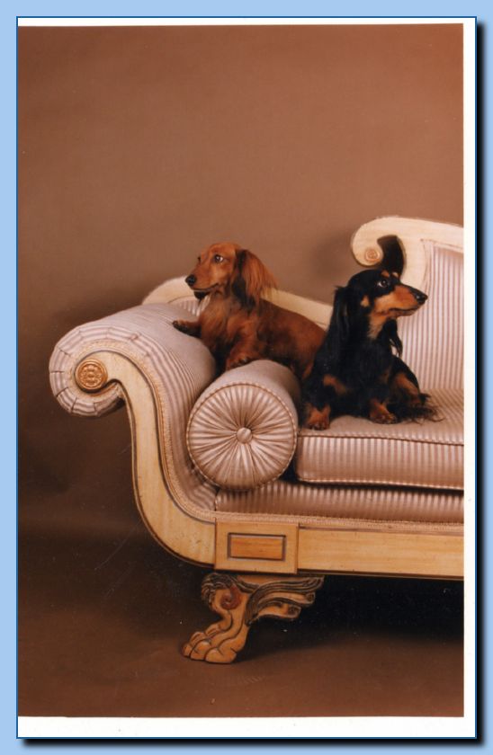 2-44a animal portrait-archive